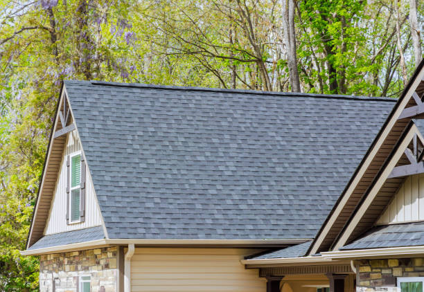 Best Roof Leak Repair  in Big Lake, TX