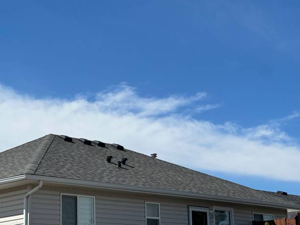 Professional Roofing Service in Big Lake, TX